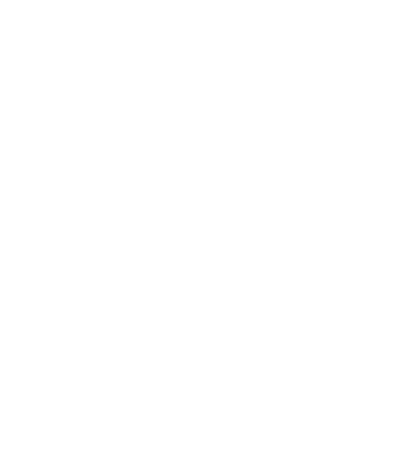 tâmplar model gri pe tricou