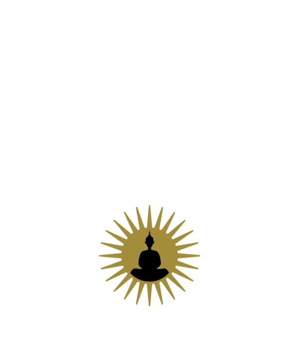 buddha star model negru pe tricou