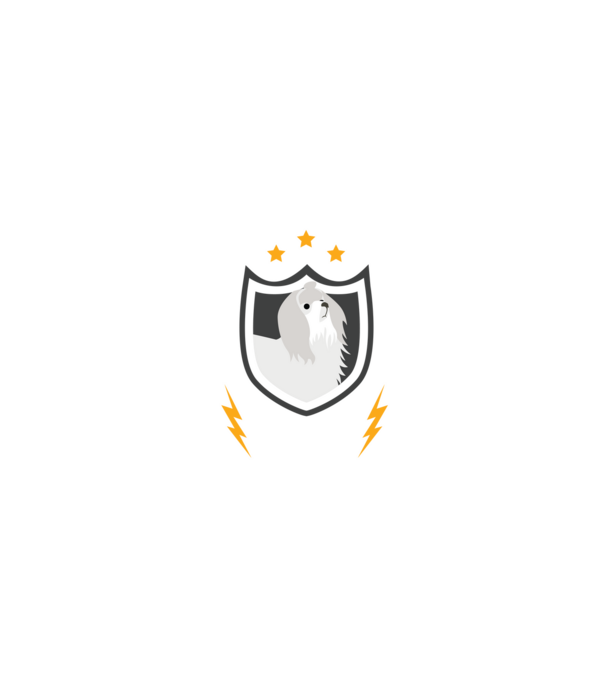serviciu de securitate - securitate - persistență - 24 de ore pe zi model negru pe tricou