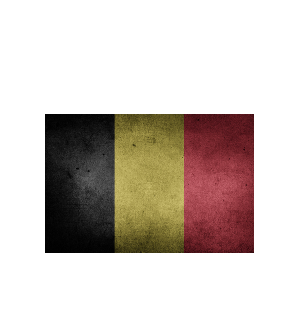 BELGIUM model alb pe tricou