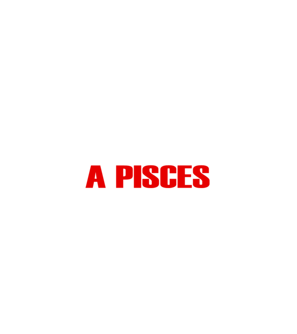 Piss of a PISCES model negru pe tricou