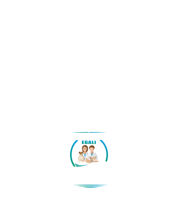 Toți se nasc egali, dar numai cei mai buni devin medici veterinari model albastru închis pe tricou
