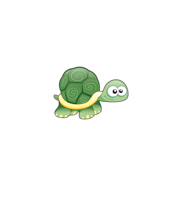 Turtle model turcoaz pe tricou