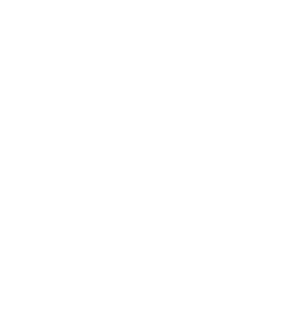 Camion 2. model turcoaz pe tricou