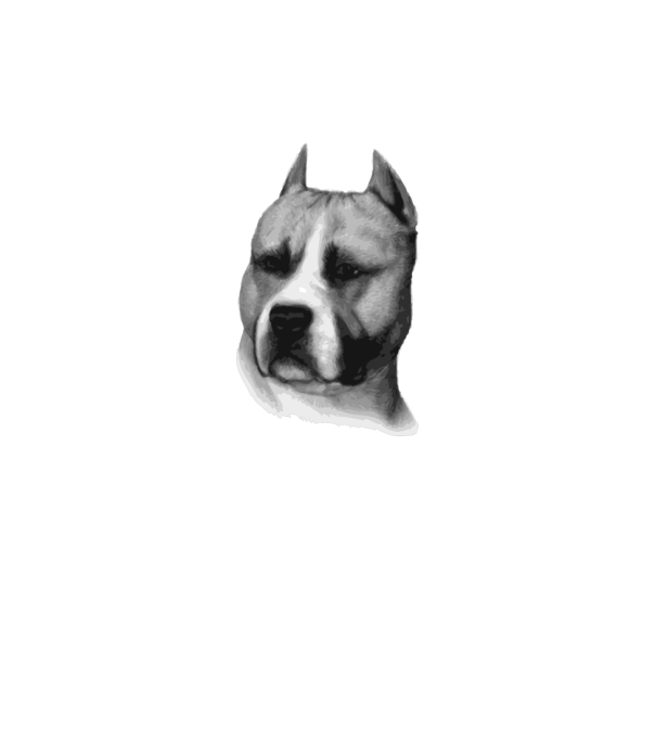 Staffordshire Terrier model galben neon pe tricou