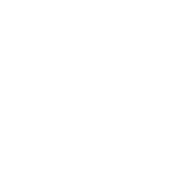 Alive since 1999 model negru pe tricou
