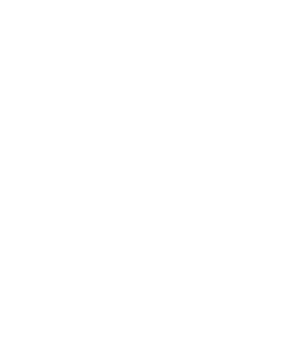 LOVE Staffordshire Terrier model negru pe tricou