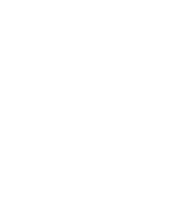 LOVE Border Collie model negru pe tricou