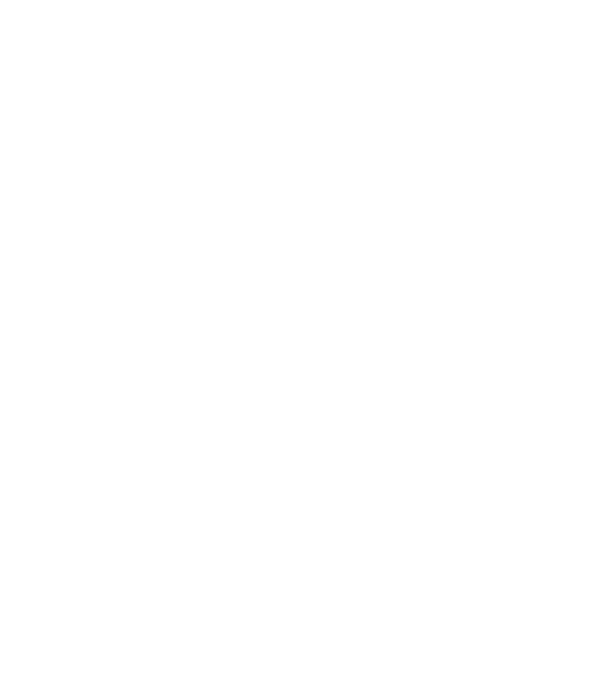 Crazy Cat Ladies are born in February model gri pe tricou