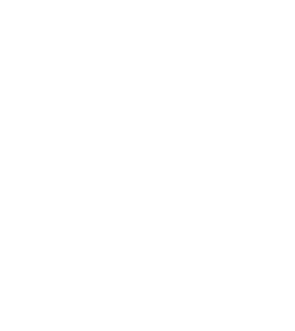 demodog logo model negru pe tricou