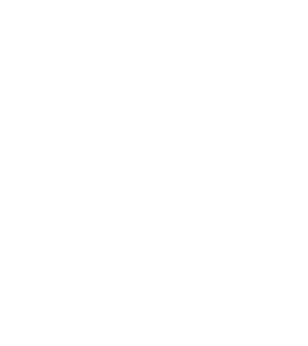 Crazy Cat Ladies are born in June model negru pe tricou