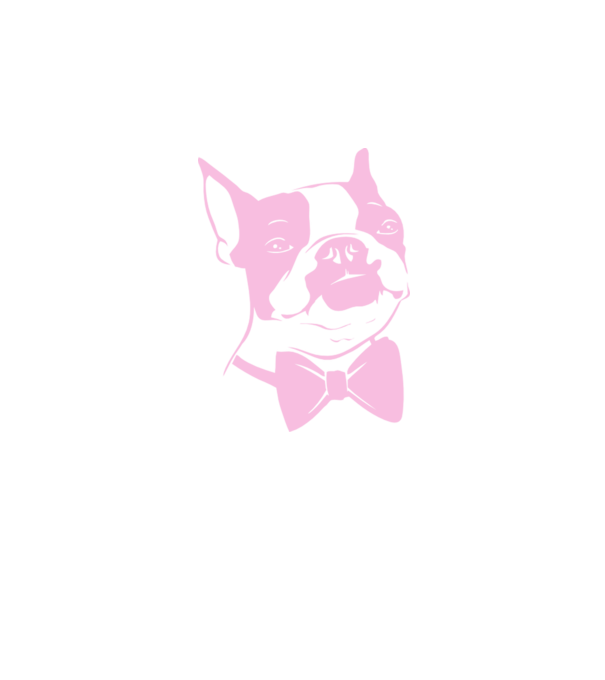 Boston Terrier model alb pe tricou