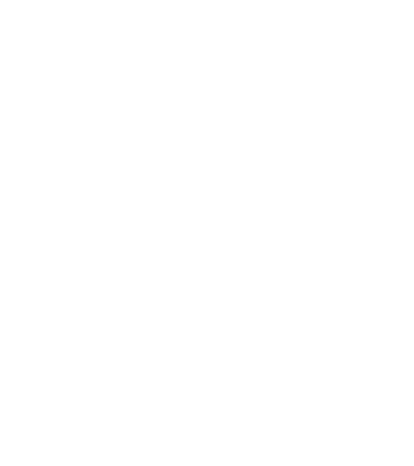 Zidarul model negru pe tricou