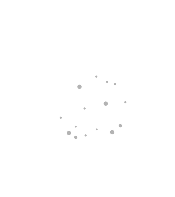 Brigada de băutură model alb pe tricou