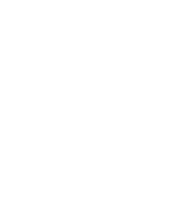 Tatadidas model alb pe tricou