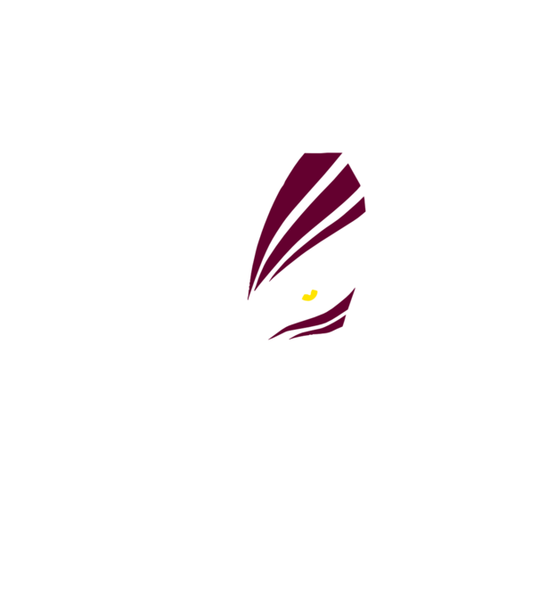 Ichigo Hollow Mask model negru pe tricou