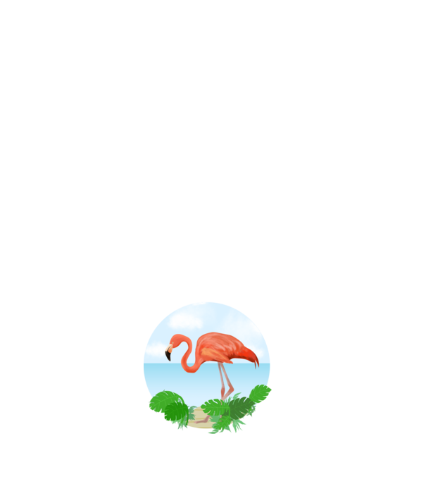Flamingo model alb pe tricou