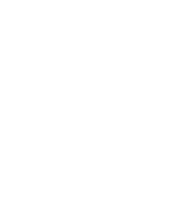 Așa arată un stăpân de Havanese foarte chipeș model negru pe tricou