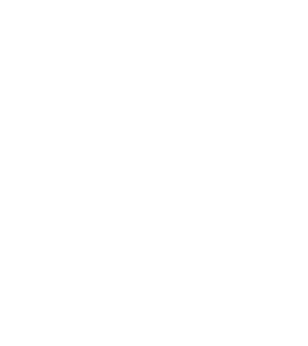 nobody is perfect 1938 model negru pe tricou