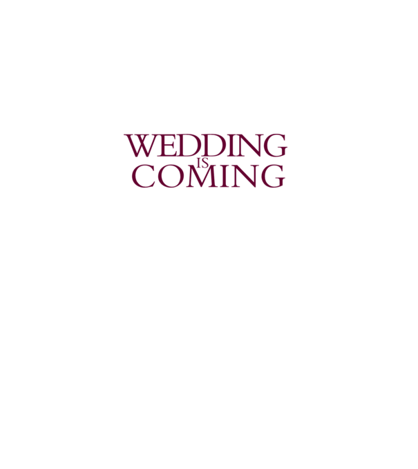 Wedding is coming model gri pe tricou