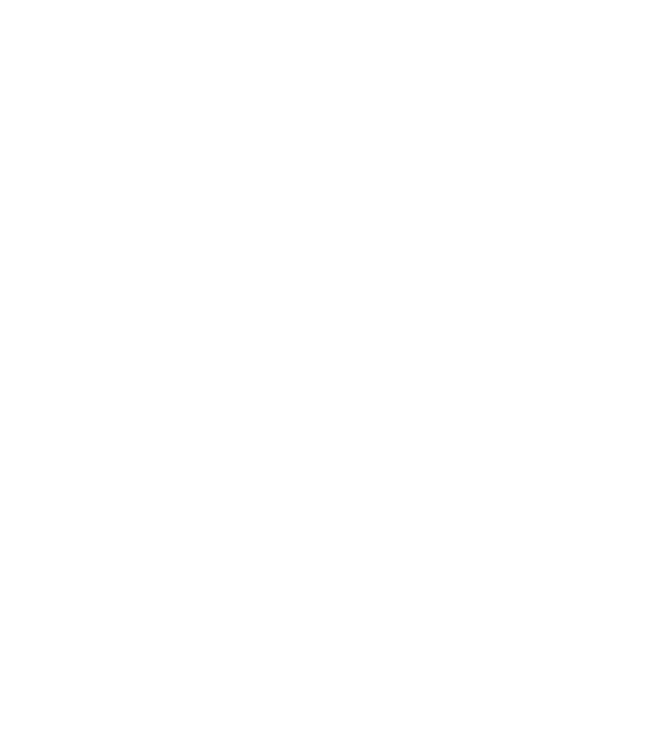 LOVE VIȘLĂ model negru pe tricou