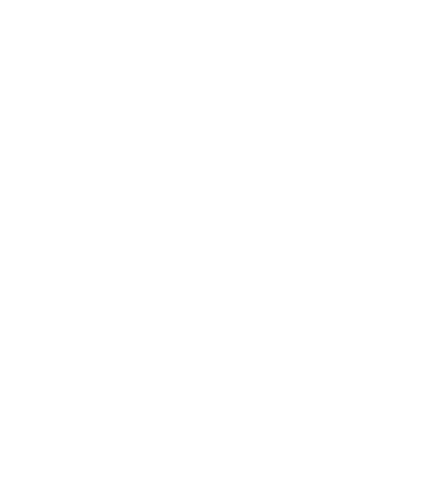 Lord of the Strings model gri pe tricou