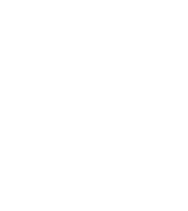Dog Year - 140 model albastru regal pe tricou