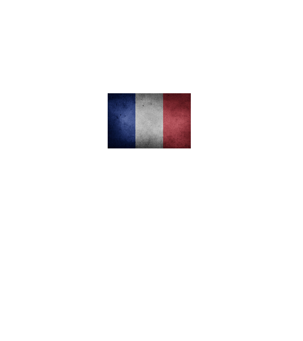 FRANCE model gri pe tricou
