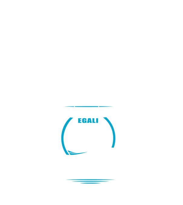 Toți bărbații se nasc egali camioane model alb pe tricou