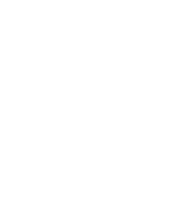 Vegan definition model negru pe tricou