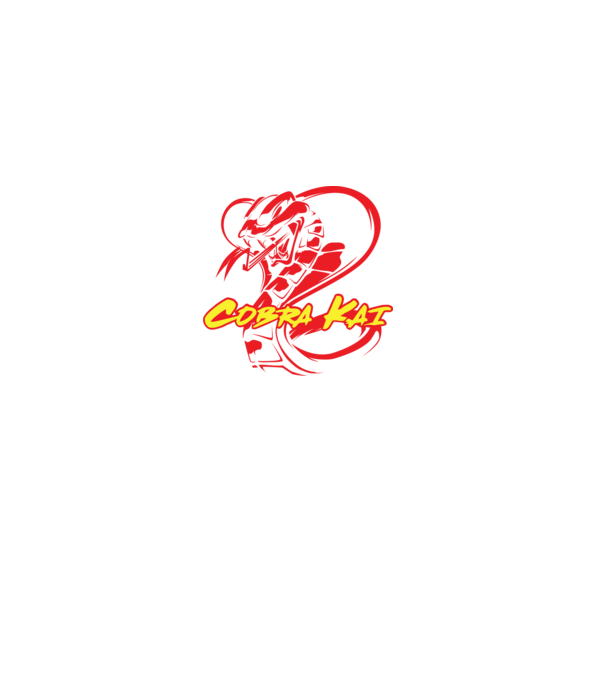cobra kai simple model gri pe tricou