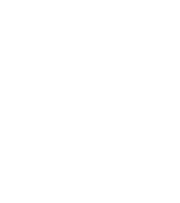 King in The North Wolf model gri închis pe tricou