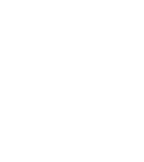 Regele - ceaunului! model negru pe tricou