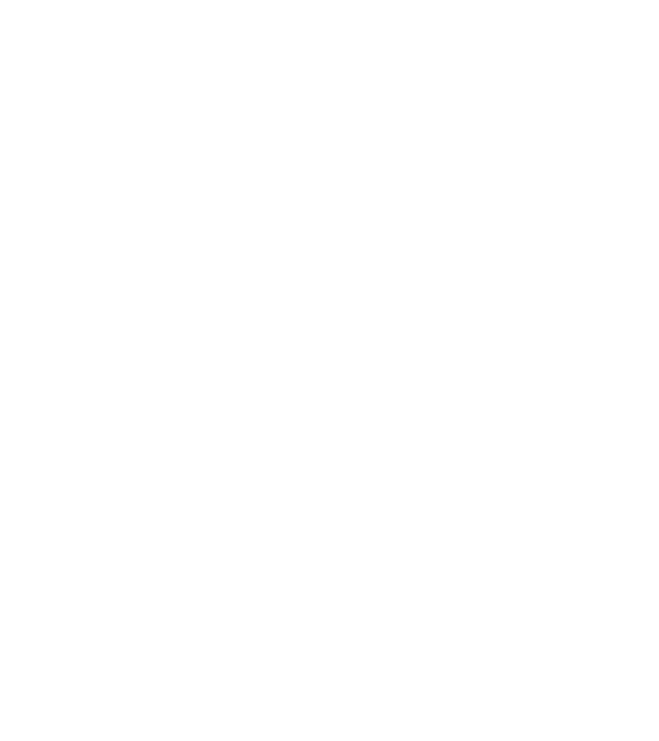 The Boss model gri închis pe tricou