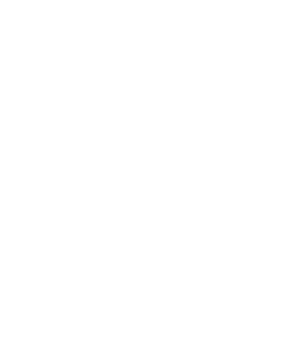 Crazy Cat Ladies are born in December model negru pe tricou