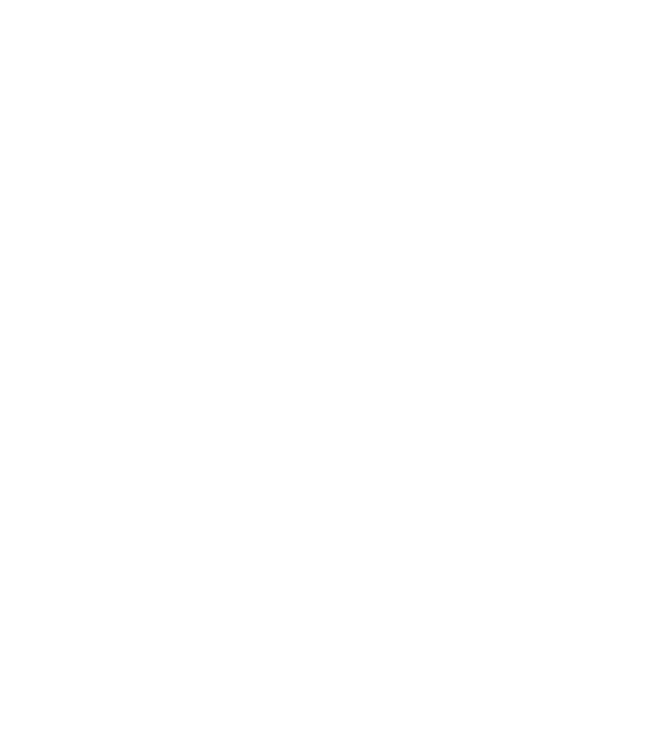 All men are created equal but only the best are born in february model negru pe tricou