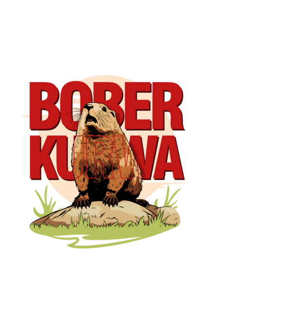 BOBER model negru pe tricou