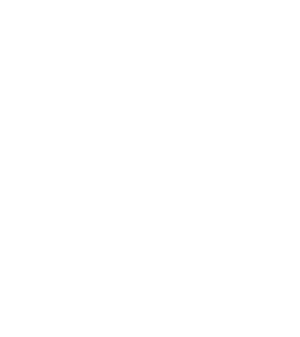 Mr never right model turcoaz pe tricou