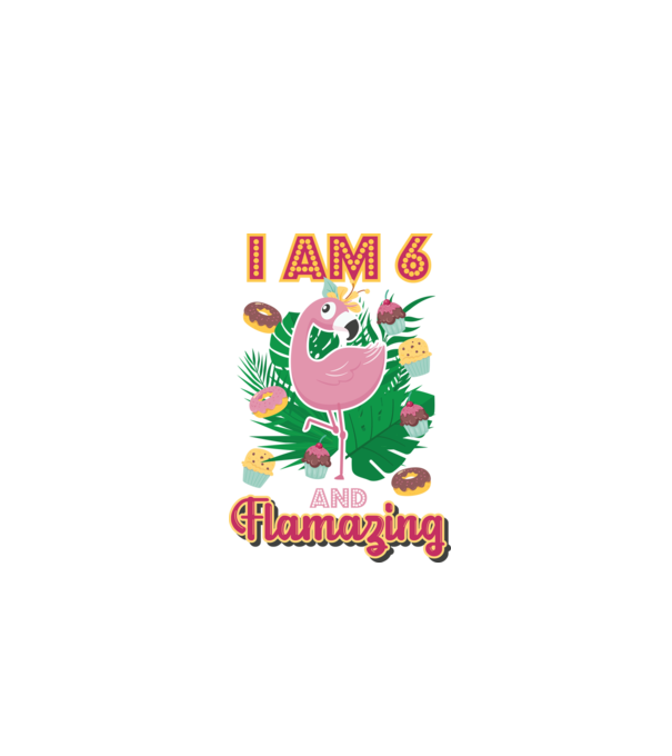 FLAMAZING Birthday 6 Years old model alb pe tricou