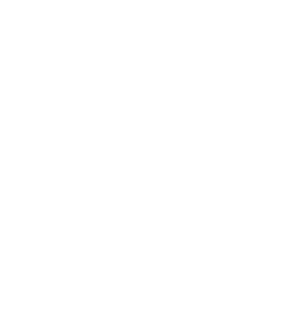Bug fixed model negru pe tricou