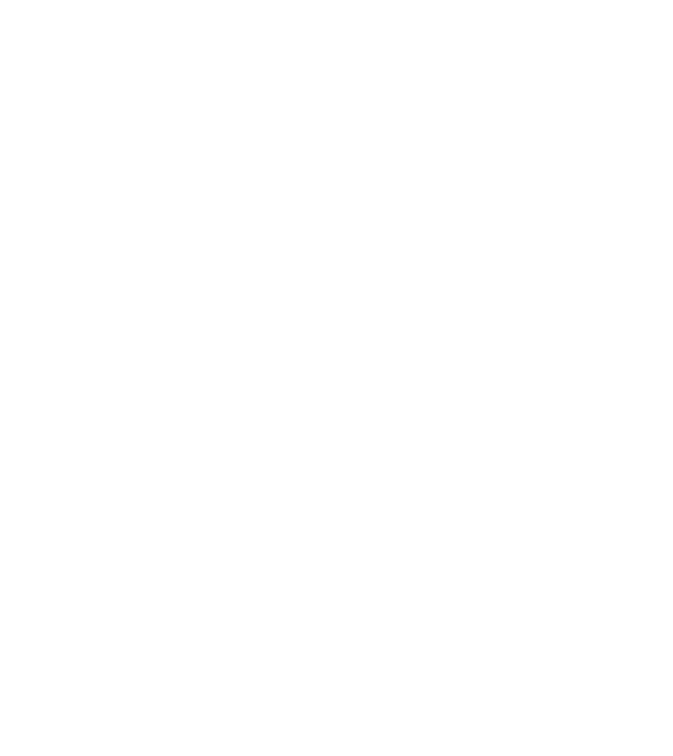 Programmer model verde pe tricou