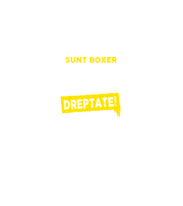 sunt boxer - pentru a economisi timp, să reținem că am întotdeauna dreptate model negru pe tricou