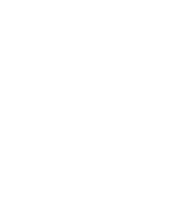 nu ai nicio idee despre munca în echipă dacă partenerul tău nu este un spirit liber de 500 de kilograme model negru pe tricou