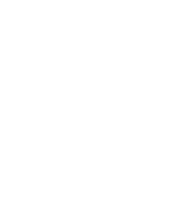 Camion 2. model gri pe tricou