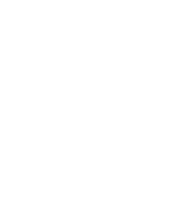 Queens are born in - December model turcoaz pe tricou
