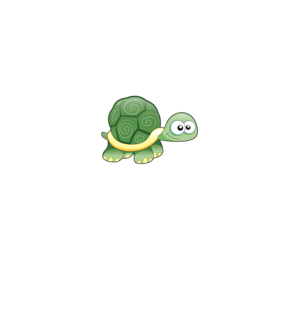 Turtle model gri pe tricou