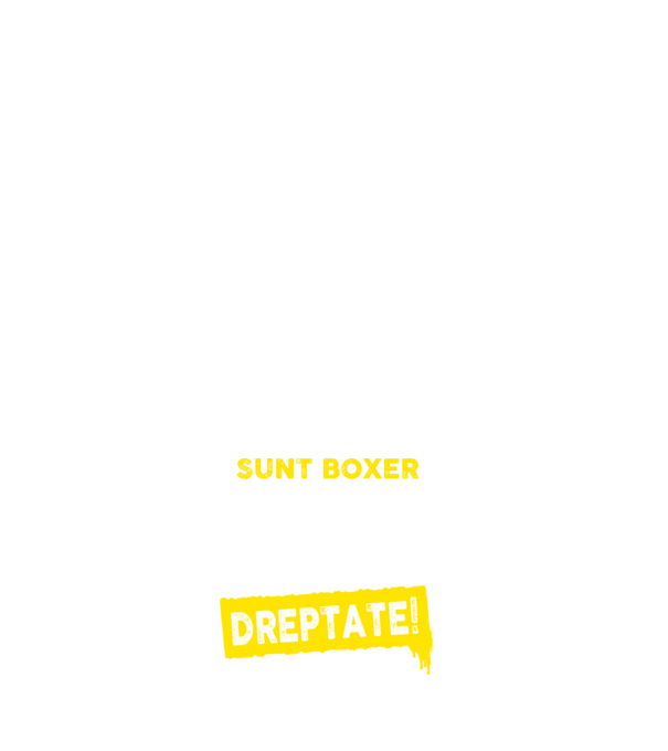 sunt boxer - pentru a economisi timp, să reținem că am întotdeauna dreptate model albastru închis pe tricou