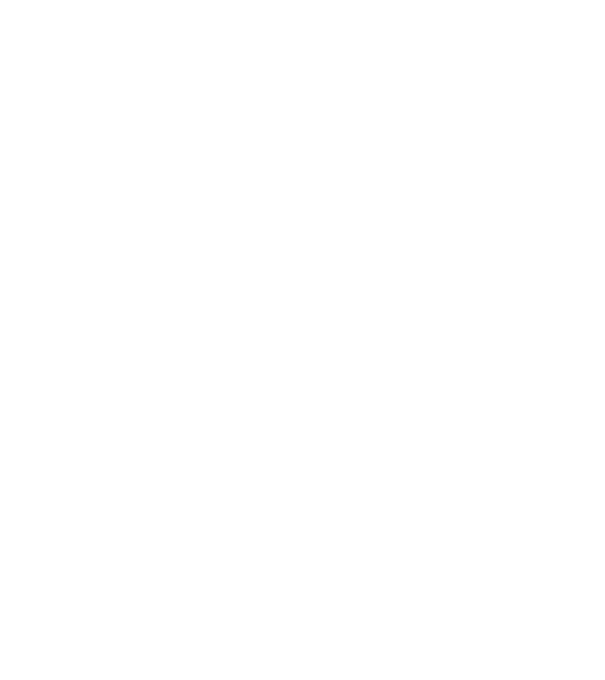 Alive since 2009 model negru pe tricou