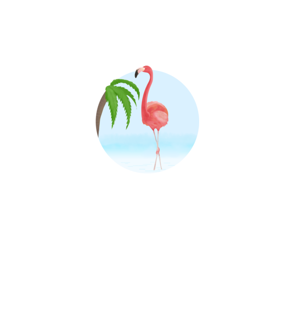 Flamingo model alb pe tricou