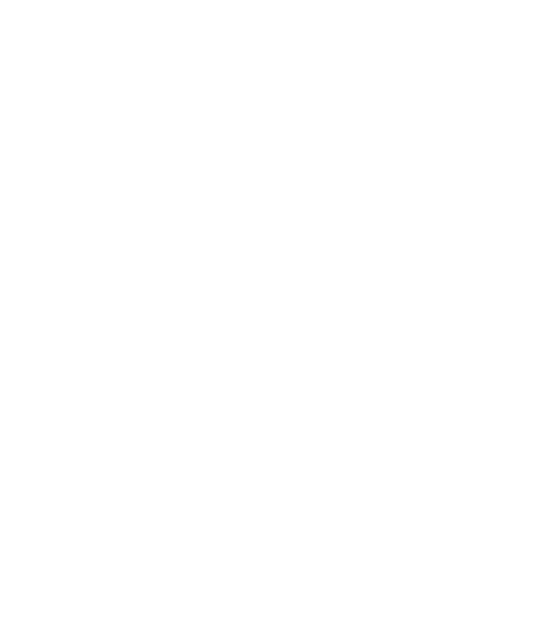 Regele - ceaunului! model negru pe tricou